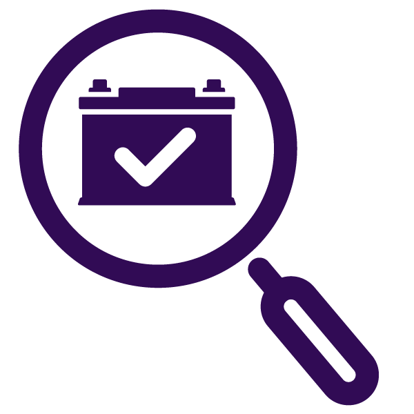 Inspection Icon
