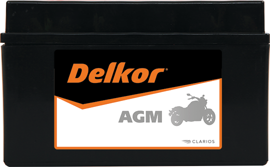 Delkor Motorcycle AGM MF-DTZ10SFront