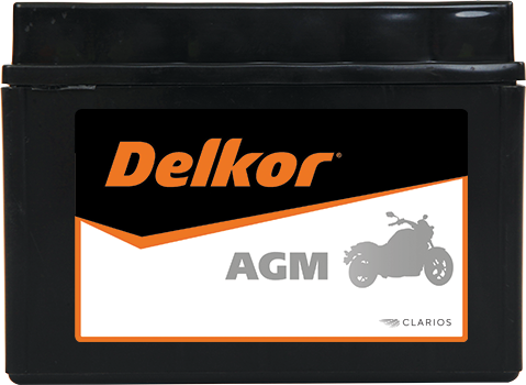 Delkor Motorcycle AGM MF-DTZ14SFront