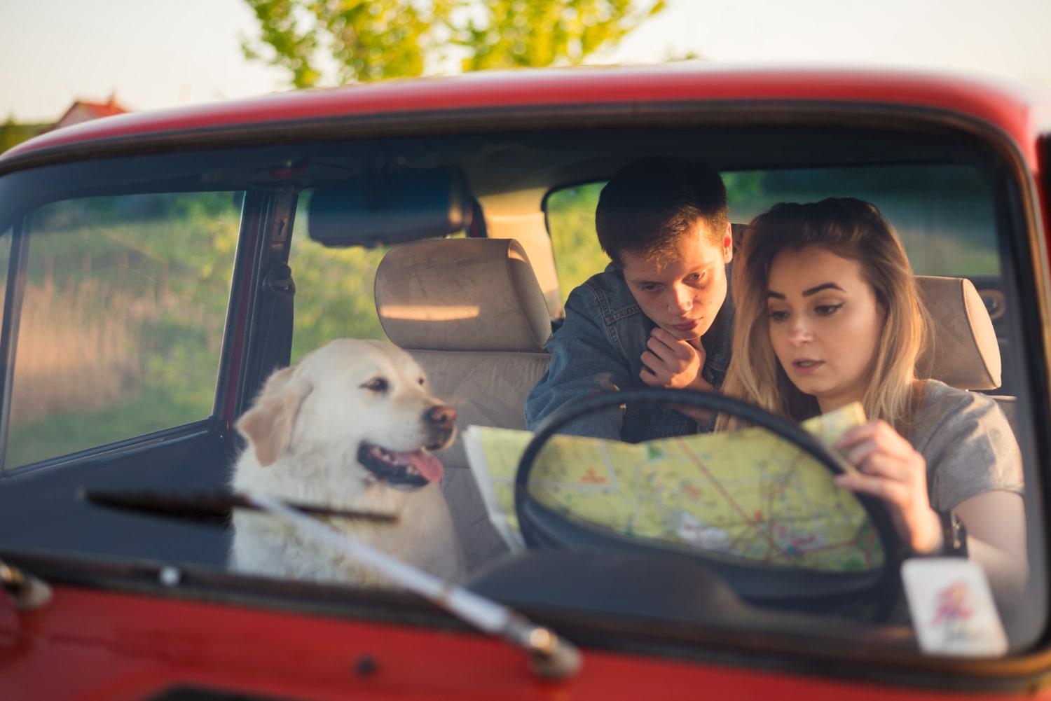 Duas pessoas e um cachorro dentro de um carro. A mulher, que está no volante, segura um mapa, enquanto o homem, que está no banco de trás, aponta para o mapa.
