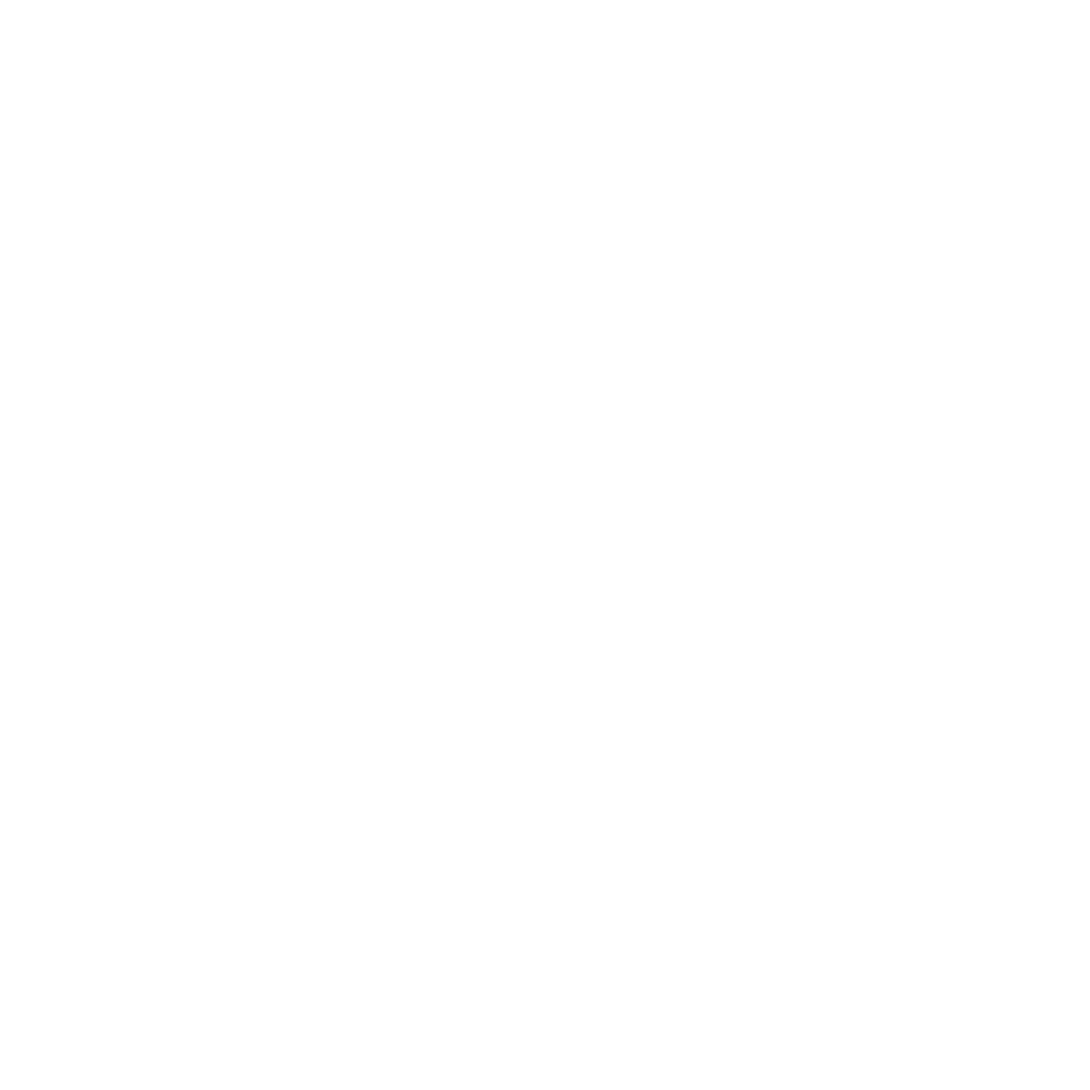 Handshake Icon